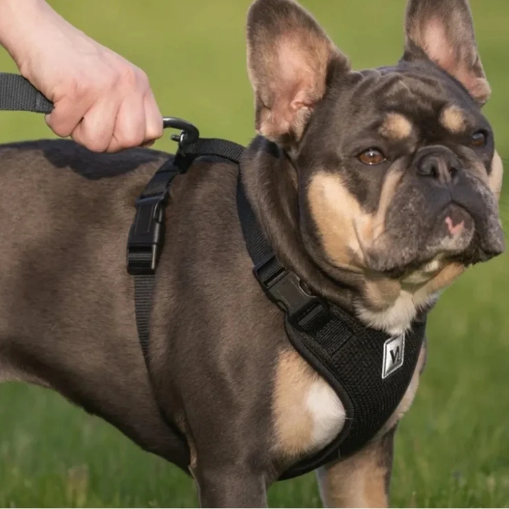 VIBRANT LIFE‎ | Mesh Adjustable Dog Harness